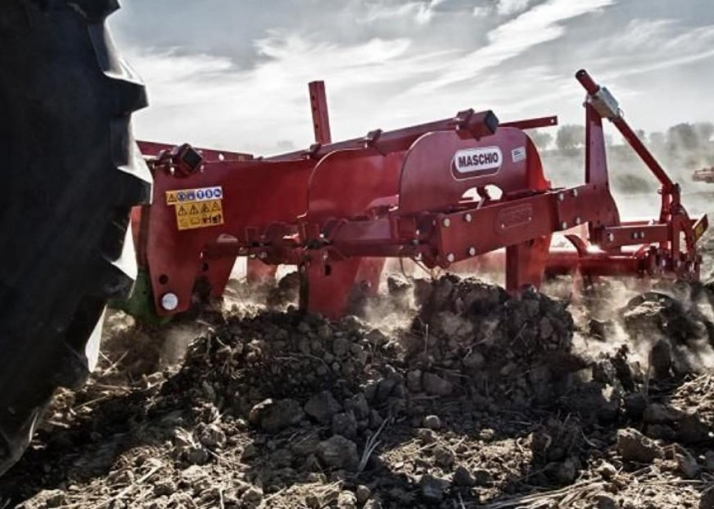 Spatenpflug des Typs Nordsten Pinocchio 250/5,  in Пологи (Bild 3)