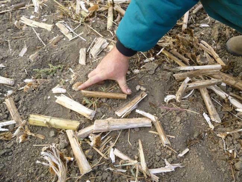 Straßenfräse des Typs Dalbo MaxiCut 600,  in Київ (Bild 9)