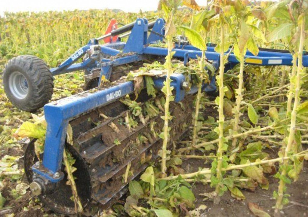 Straßenfräse des Typs Dalbo MaxiCut 600,  in Київ (Bild 3)