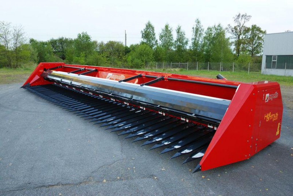 Sonnenblumenschneidwerk des Typs Capello Helianthus 9400,  in Київ (Bild 2)