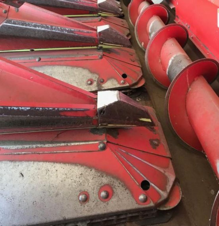 Maispflückvorsatz des Typs Olimac S 8-TR,  in Черкаси (Bild 3)