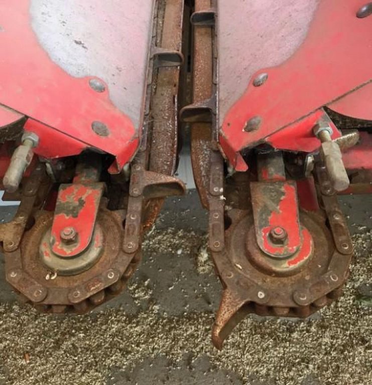 Maispflückvorsatz des Typs Olimac S 8-TR,  in Черкаси (Bild 4)