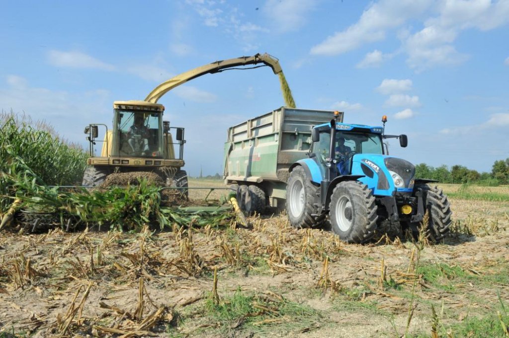 Oldtimer-Traktor des Typs Landini 7-230, Neumaschine in Київ (Bild 4)