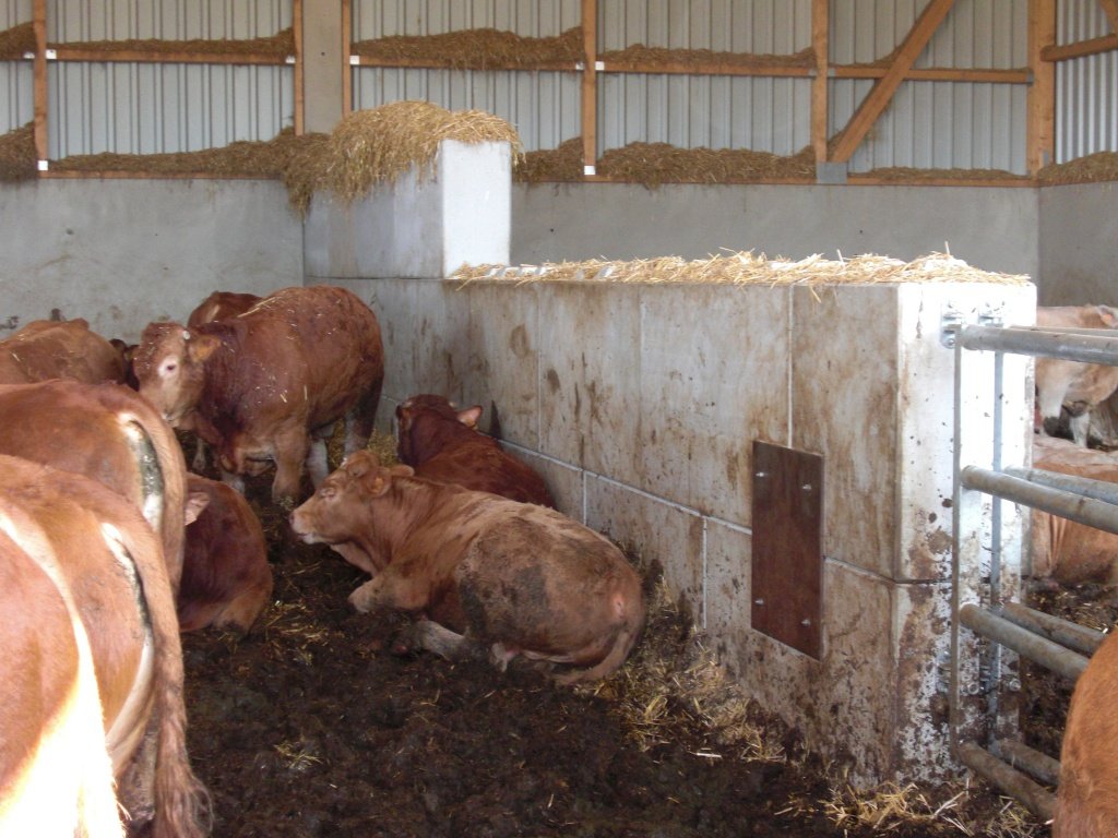 Sonstige Getreidelagertechnik des Typs Müller Betonblock, Neumaschine in Neuburg a. d. Kammel (Bild 14)