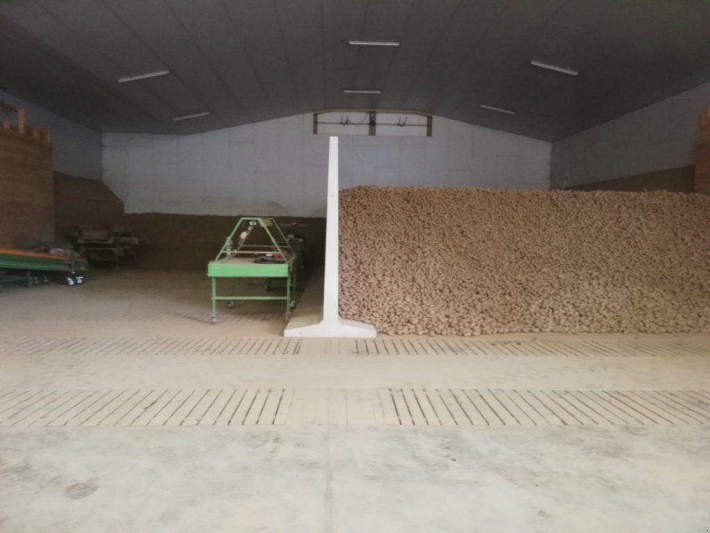 Kartoffellagerungstechnik des Typs Müller T-Teil, Kartoffellagertechnik, Neumaschine in Neuburg a. d. Kammel (Bild 10)