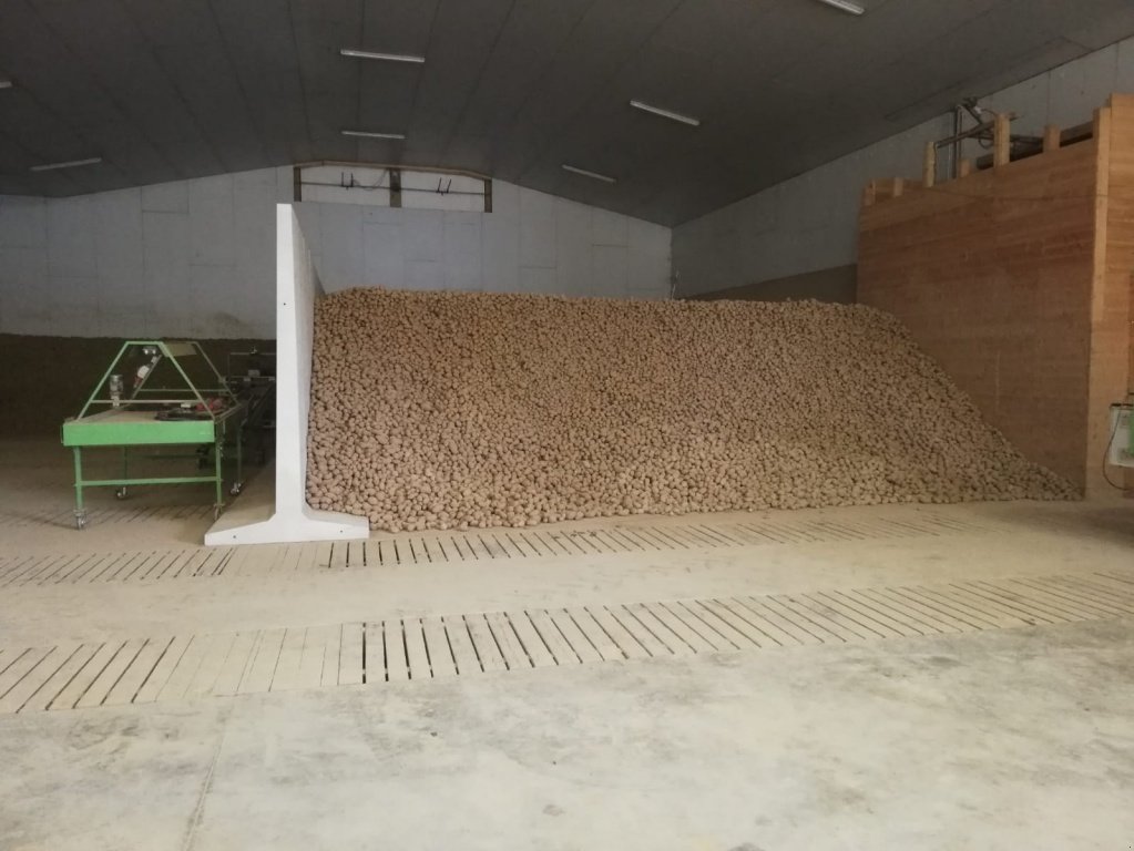 Kartoffellagerungstechnik des Typs Müller T-Teil, Kartoffellagertechnik, Neumaschine in Neuburg a. d. Kammel (Bild 11)