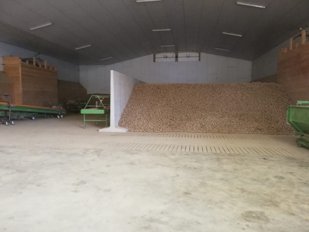 Kartoffellagerungstechnik des Typs Müller T-Teil, Kartoffellagertechnik, Neumaschine in Neuburg a. d. Kammel (Bild 2)