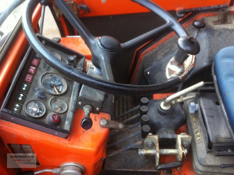 Schmalspurtraktor des Typs Holder C 560, Gebrauchtmaschine in Tapfheim (Bild 4)