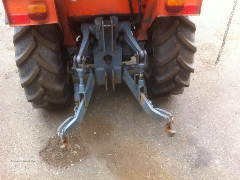 Schmalspurtraktor des Typs Holder C 560, Gebrauchtmaschine in Tapfheim (Bild 2)