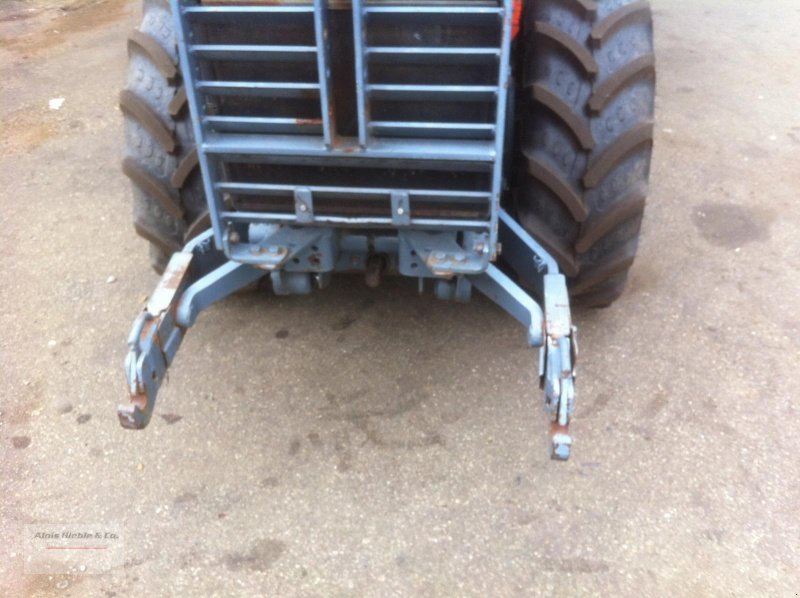 Schmalspurtraktor des Typs Holder C 560, Gebrauchtmaschine in Tapfheim (Bild 5)