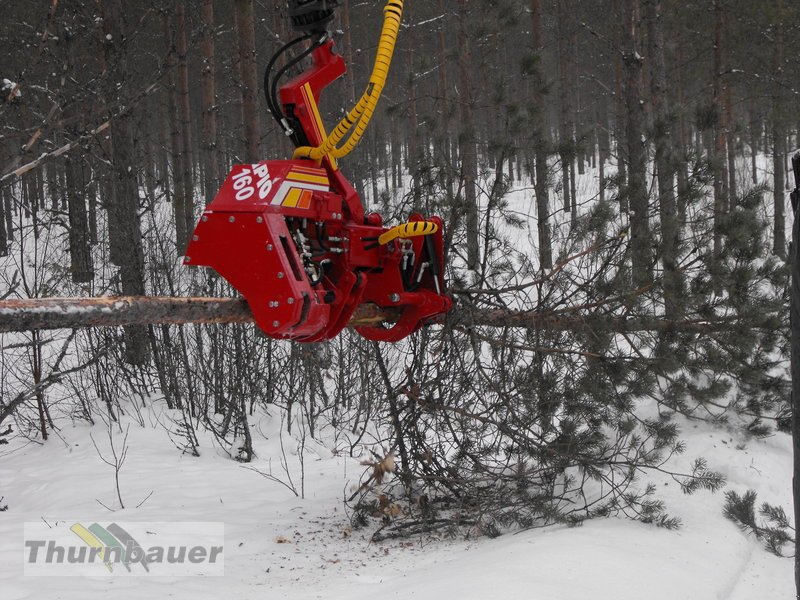 Aggregat & Anbauprozessor des Typs Tapio 160 Schubharvesterkopf, Neumaschine in Bodenmais (Bild 3)