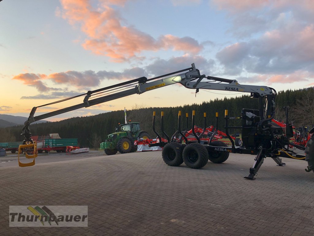 Rückewagen & Rückeanhänger des Typs Kesla 9T - 15 T, Neumaschine in Bodenmais (Bild 11)