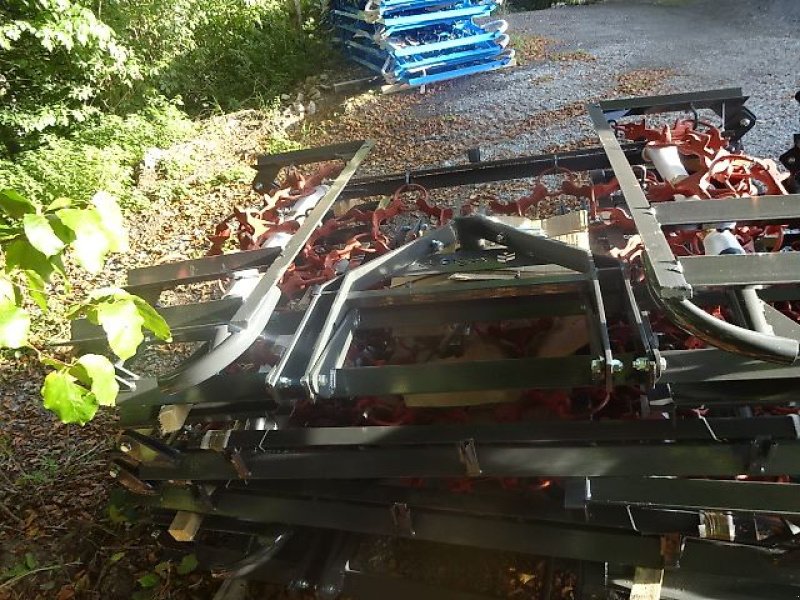 Wiesenegge des Typs H & B H LM 4 M- 4 Reihig- schwere Ausführung -, Neumaschine in Neureichenau (Bild 2)