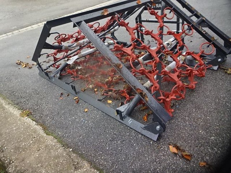 Wiesenegge des Typs H & B H LM 4 M- 4 Reihig- schwere Ausführung -, Neumaschine in Neureichenau (Bild 16)