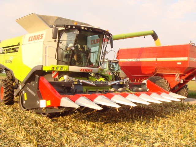 Maispflückvorsatz des Typs Dominoni SL 978 BG, Neumaschine in Baumgarten (Bild 16)