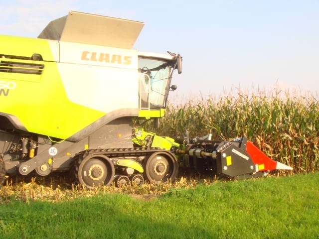 Maispflückvorsatz des Typs Dominoni SL 978 BG, Neumaschine in Baumgarten (Bild 15)