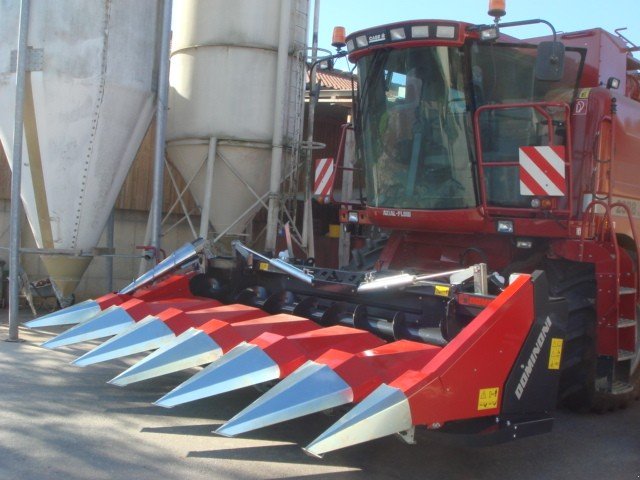 Maispflückvorsatz des Typs Dominoni SL 978 BG, Neumaschine in Baumgarten (Bild 8)