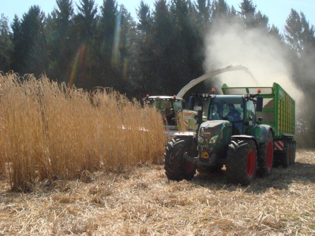 GPS-Schneidwerk des Typs Dominoni Multi Power Disc 612 L, Neumaschine in Baumgarten (Bild 13)