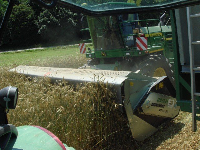 GPS-Schneidwerk des Typs Dominoni Multi Power Disc 612 L, Neumaschine in Baumgarten (Bild 24)