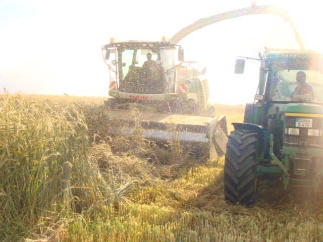 GPS-Schneidwerk des Typs Dominoni Multi Power Disc 612 L, Neumaschine in Baumgarten (Bild 10)