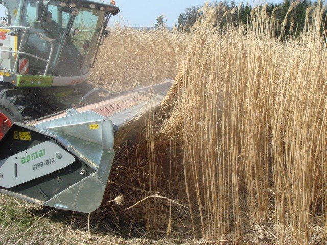 GPS-Schneidwerk des Typs Dominoni Multi Power Disc 612 L, Neumaschine in Baumgarten (Bild 4)