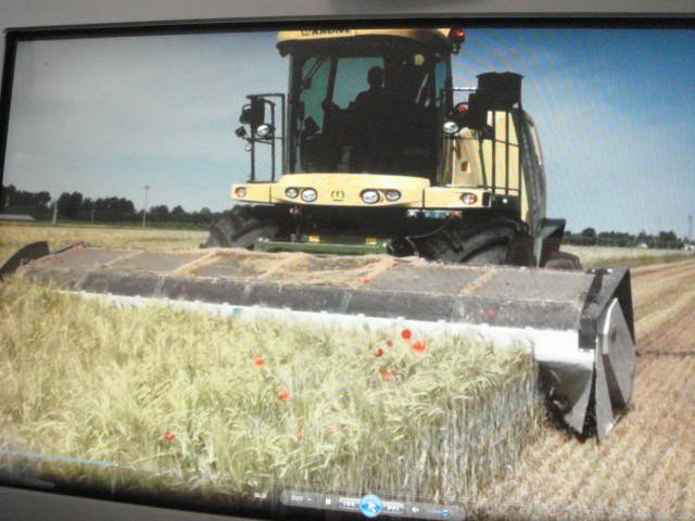 GPS-Schneidwerk des Typs Dominoni Multi Power Disc 612 L, Neumaschine in Baumgarten (Bild 16)