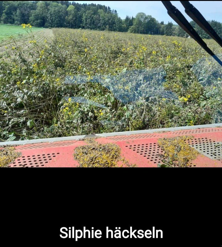 GPS-Schneidwerk des Typs Dominoni Multi Power Disc 612 L, Neumaschine in Baumgarten (Bild 2)