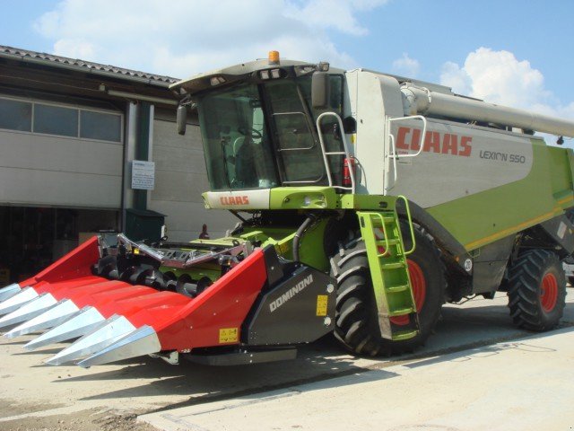 Maispflückvorsatz des Typs Dominoni SL 966 BG M, Neumaschine in Baumgarten (Bild 3)