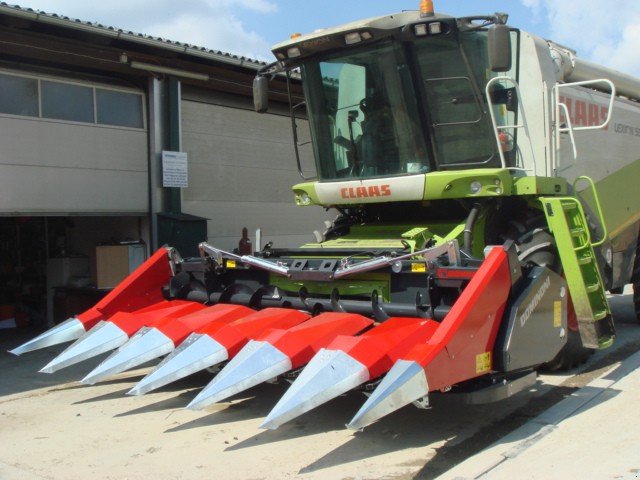 Maispflückvorsatz des Typs Dominoni SL 966 BG M, Neumaschine in Baumgarten (Bild 2)