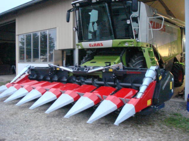 Maispflückvorsatz des Typs Dominoni SL 966 BG M, Neumaschine in Baumgarten (Bild 11)