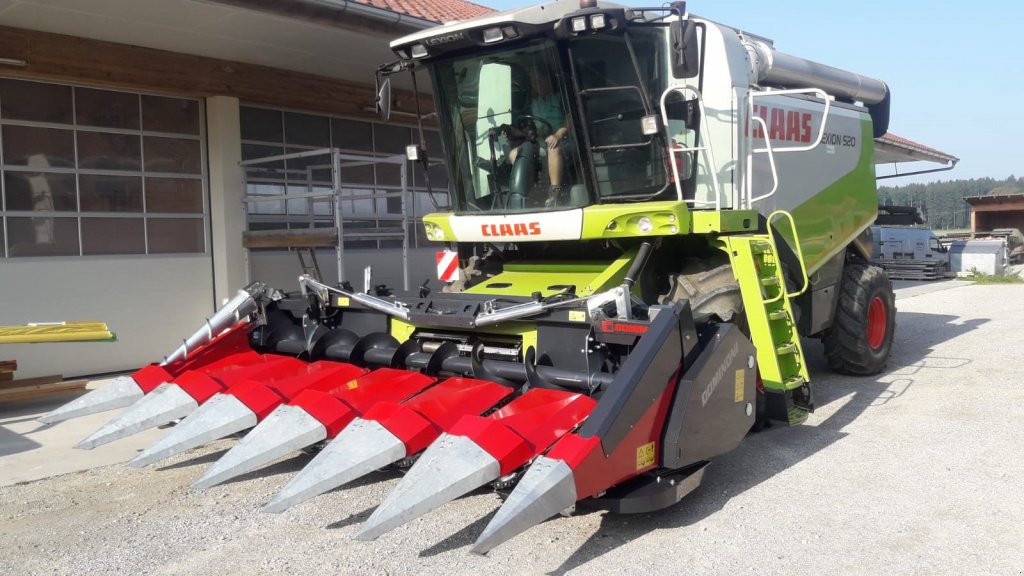 Maispflückvorsatz des Typs Dominoni SL 966 BG M, Neumaschine in Baumgarten (Bild 1)