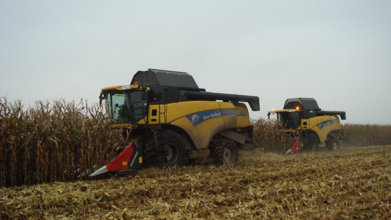 Maispflückvorsatz des Typs Dominoni SL 966, Gebrauchtmaschine in Baumgarten (Bild 7)