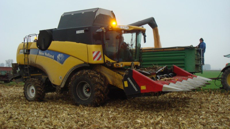 Maispflückvorsatz des Typs Dominoni SL 966, Gebrauchtmaschine in Baumgarten (Bild 8)