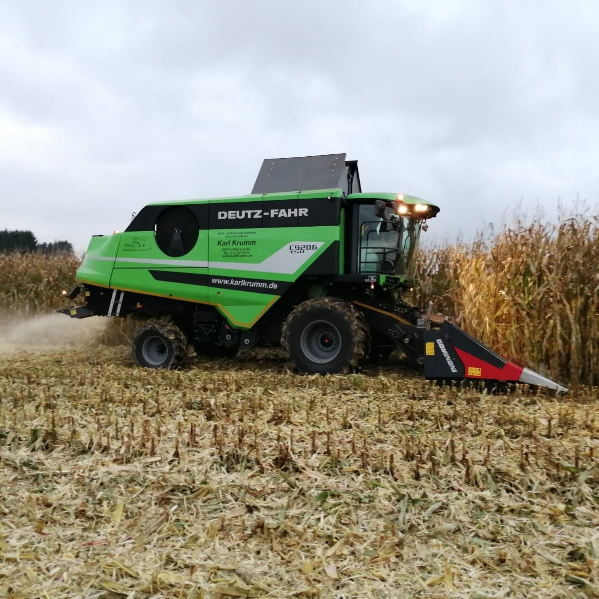 Maispflückvorsatz des Typs Dominoni SL 966, Gebrauchtmaschine in Baumgarten (Bild 1)