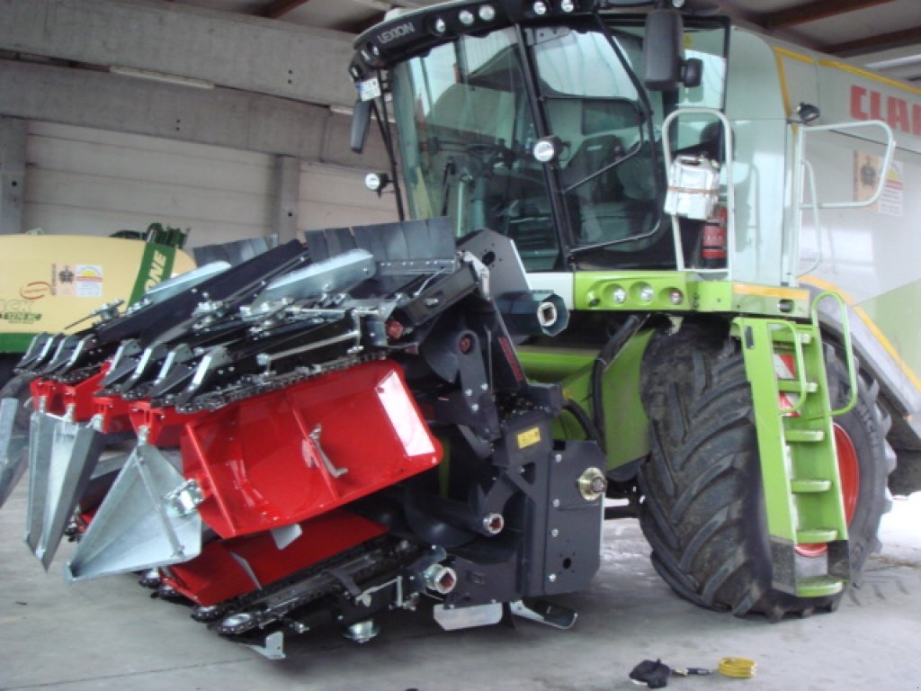 Maispflückvorsatz des Typs Dominoni SL 978 BG, Neumaschine in Baumgarten (Bild 4)