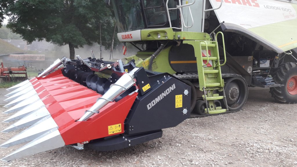 Maispflückvorsatz des Typs Dominoni SL 978 BG, Neumaschine in Baumgarten (Bild 2)