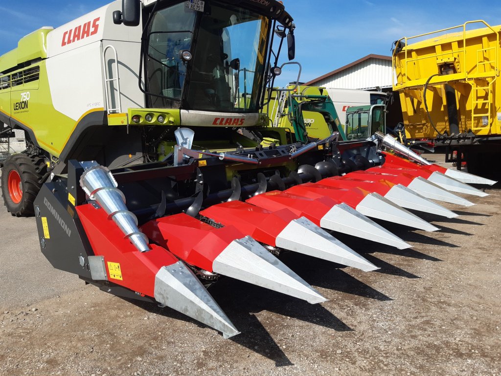 Maispflückvorsatz des Typs Dominoni SL 978 BG, Neumaschine in Baumgarten (Bild 1)