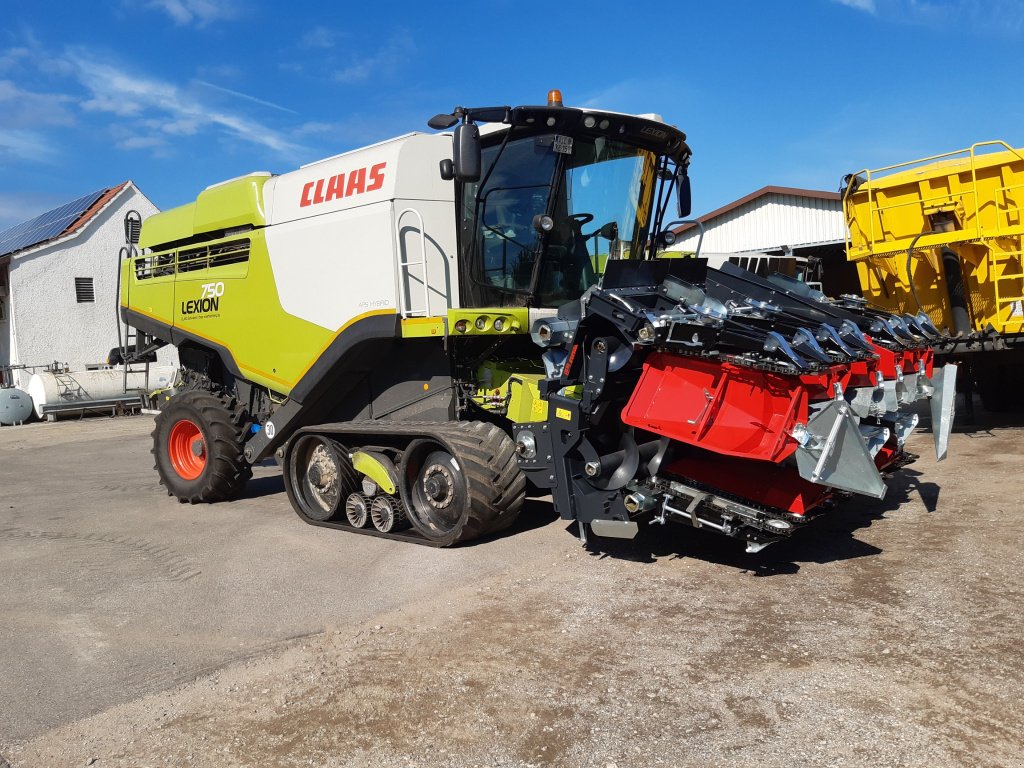 Maispflückvorsatz des Typs Dominoni SL 978 BG, Neumaschine in Baumgarten (Bild 21)