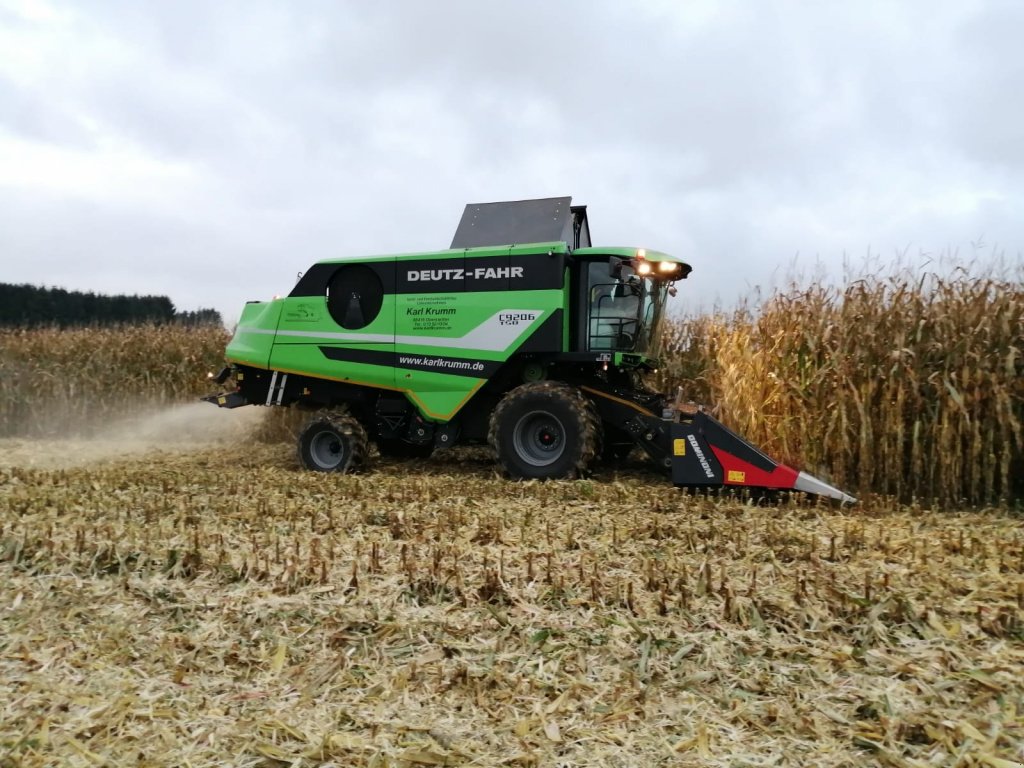 Maispflückvorsatz des Typs Dominoni SL 978 BG, Neumaschine in Baumgarten (Bild 22)