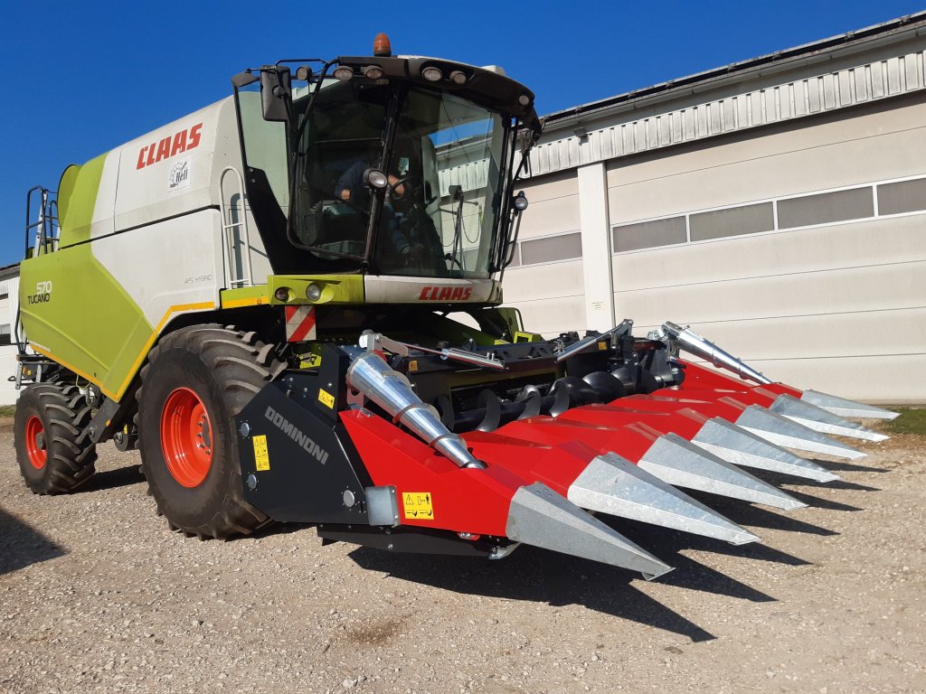 Maispflückvorsatz des Typs Dominoni SL 978 BG, Neumaschine in Baumgarten (Bild 23)