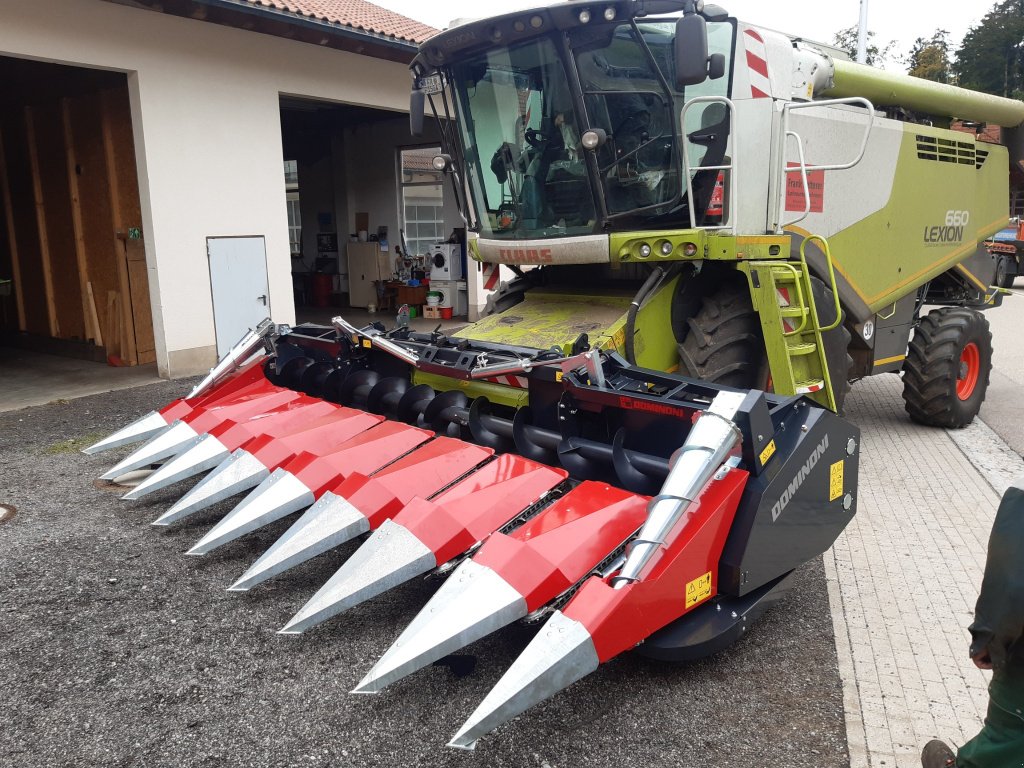 Maispflückvorsatz des Typs Dominoni SL 978 BG, Neumaschine in Baumgarten (Bild 24)