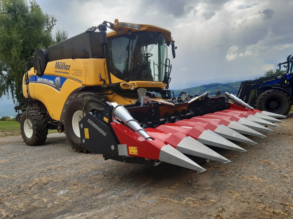 Maispflückvorsatz des Typs Dominoni SL 978 BG, Neumaschine in Baumgarten (Bild 26)