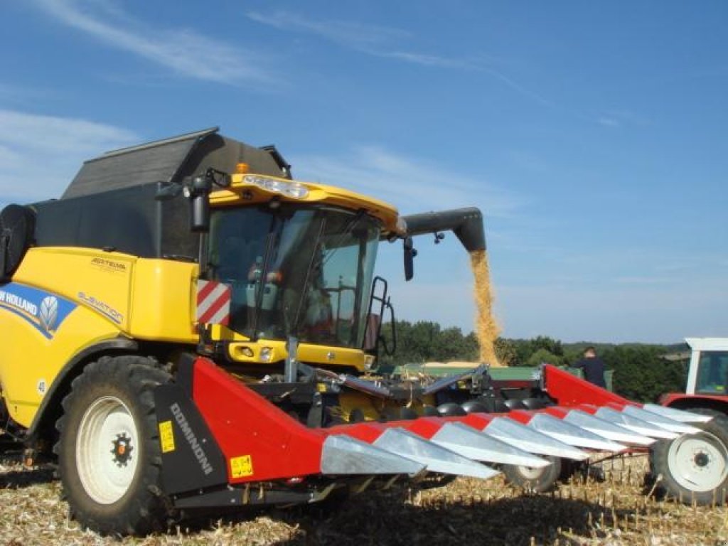 Maispflückvorsatz des Typs Dominoni SL 968, Neumaschine in Baumgarten (Bild 2)