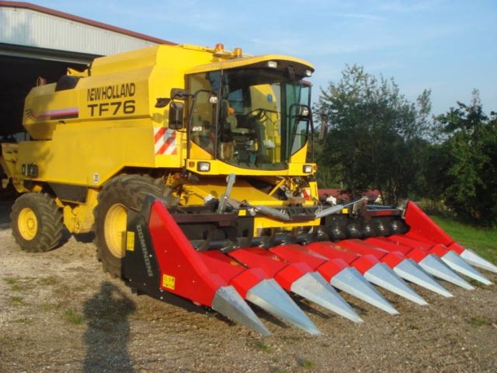 Maispflückvorsatz des Typs Dominoni SL 968, Neumaschine in Baumgarten (Bild 7)