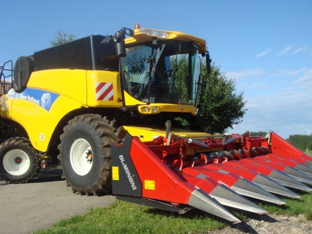 Maispflückvorsatz des Typs Dominoni SL 968, Neumaschine in Baumgarten (Bild 4)