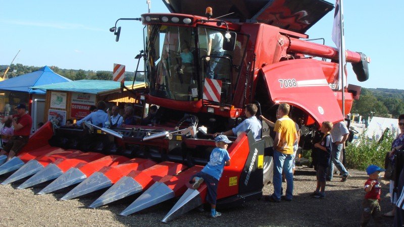 Maispflückvorsatz des Typs Dominoni SL 968, Neumaschine in Baumgarten (Bild 2)