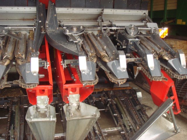 Maispflückvorsatz des Typs Dominoni SL 968, Neumaschine in Baumgarten (Bild 7)