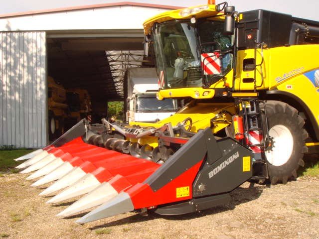 Maispflückvorsatz des Typs Dominoni SL 968, Neumaschine in Baumgarten (Bild 10)