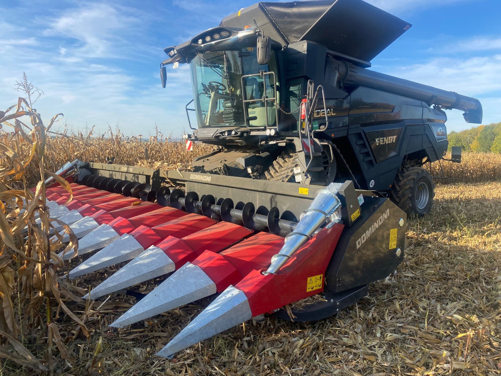 Maispflückvorsatz des Typs Dominoni SL 968, Neumaschine in Baumgarten (Bild 1)