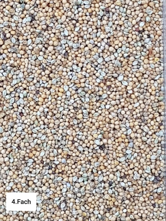 Getreidereinigung des Typs Progra ISM-5 CSC Getreidereiniger, Neumaschine in Kriebitzsch (Bild 9)